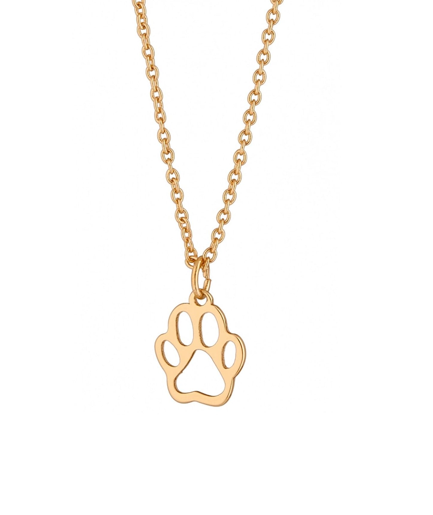 "Celebrity with a Paw (C14238AU)"