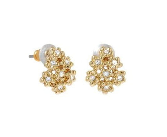 "Unusual Shaped Earrings (P12095AU)"