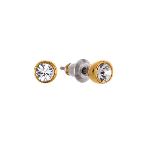 "Small crystal earrings (P13877AU)"